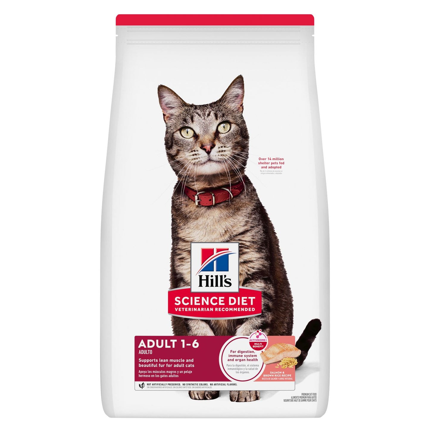 Adult Cat Food