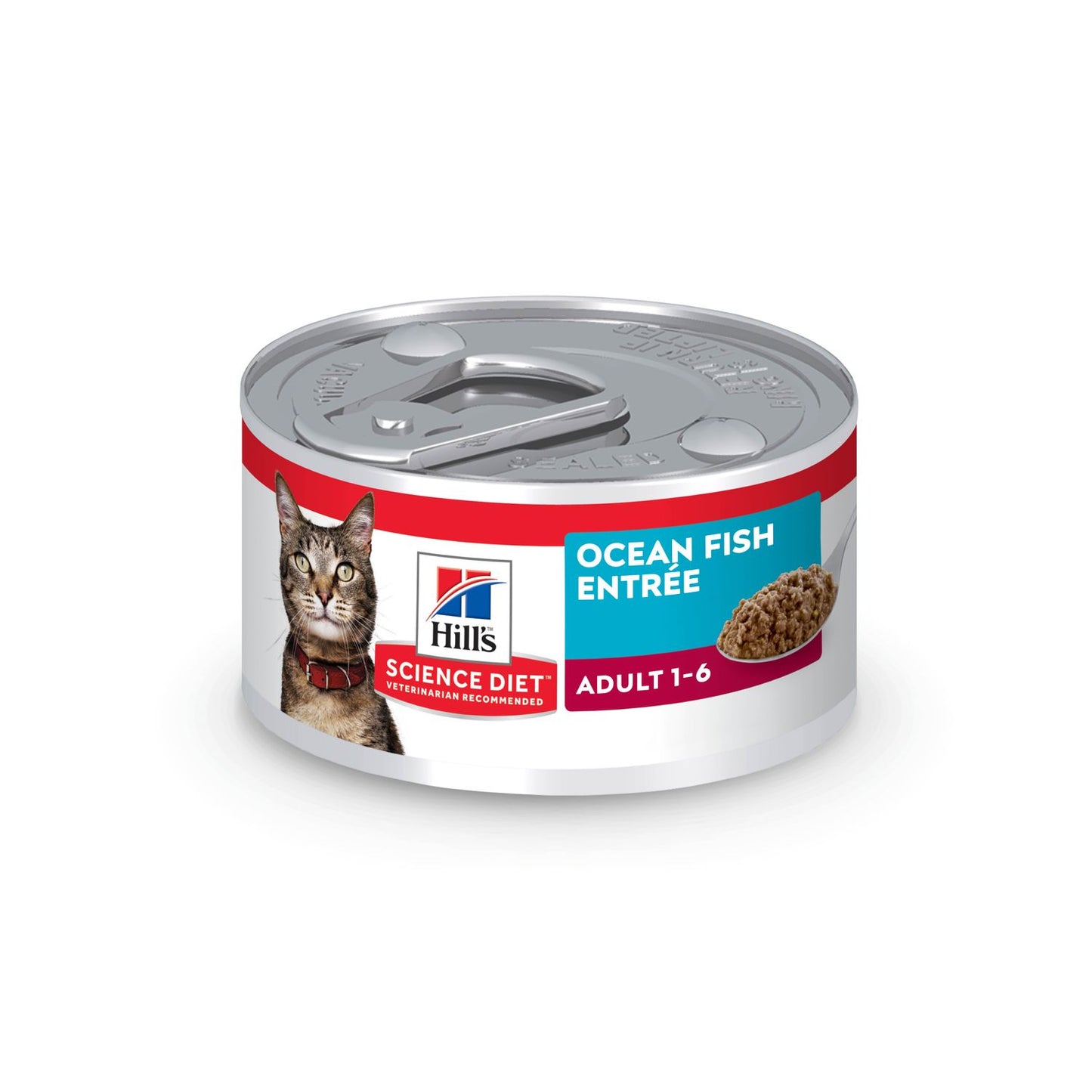 Adult Cat Food